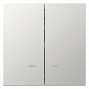 Выключатель двухклавишный со светодиодами 10A 250V~ с накладкой, цвет Алюминий, FD3023NBR, Jasmart