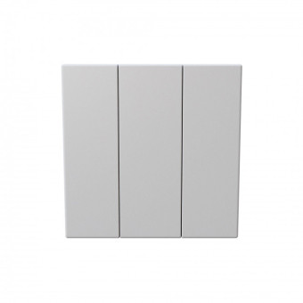 Выключатель трехклавишный 10A 250V~с накладкой, цвет Алюминий, FD3031BR, Jasmart