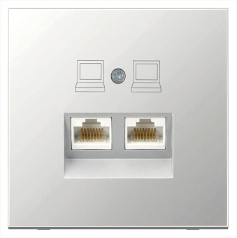 Интернет-розетка RJ45 двойная с накладкой, цвет Алюминий, FD6106BR, Jasmart