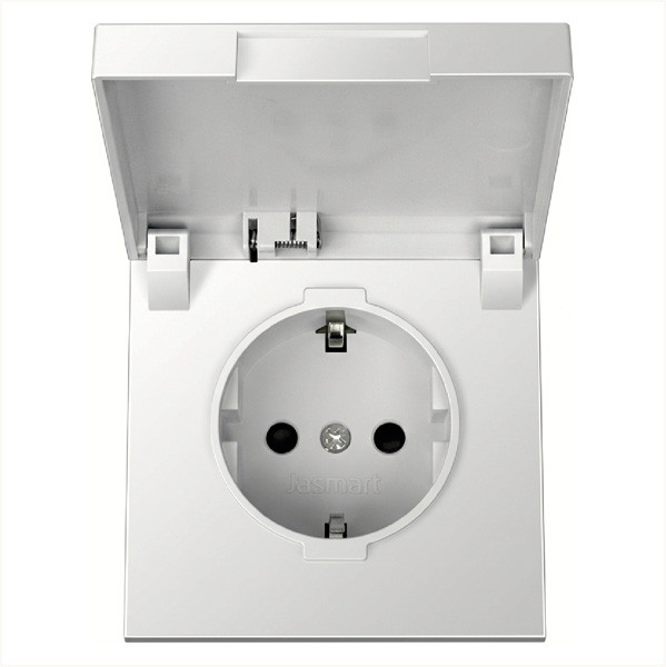 Розетка SCHUKO© с крышкой и защитными шторками 16A 250V~ 2P+T, цвет Алюминий, FD5505BR, Jasmart